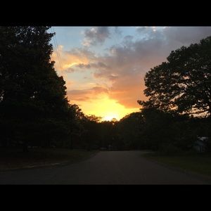 Meet your Posher, Abbie